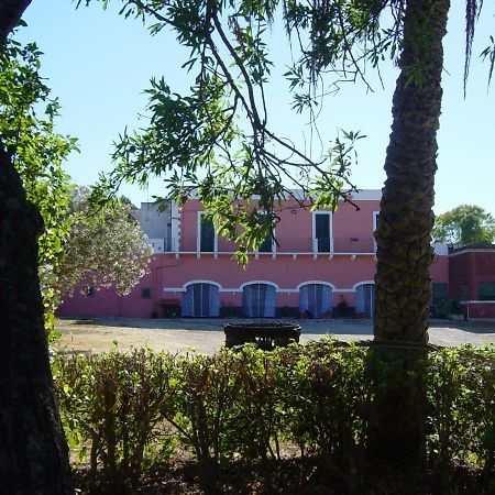 Tenuta Argiano メザーニェ エクステリア 写真
