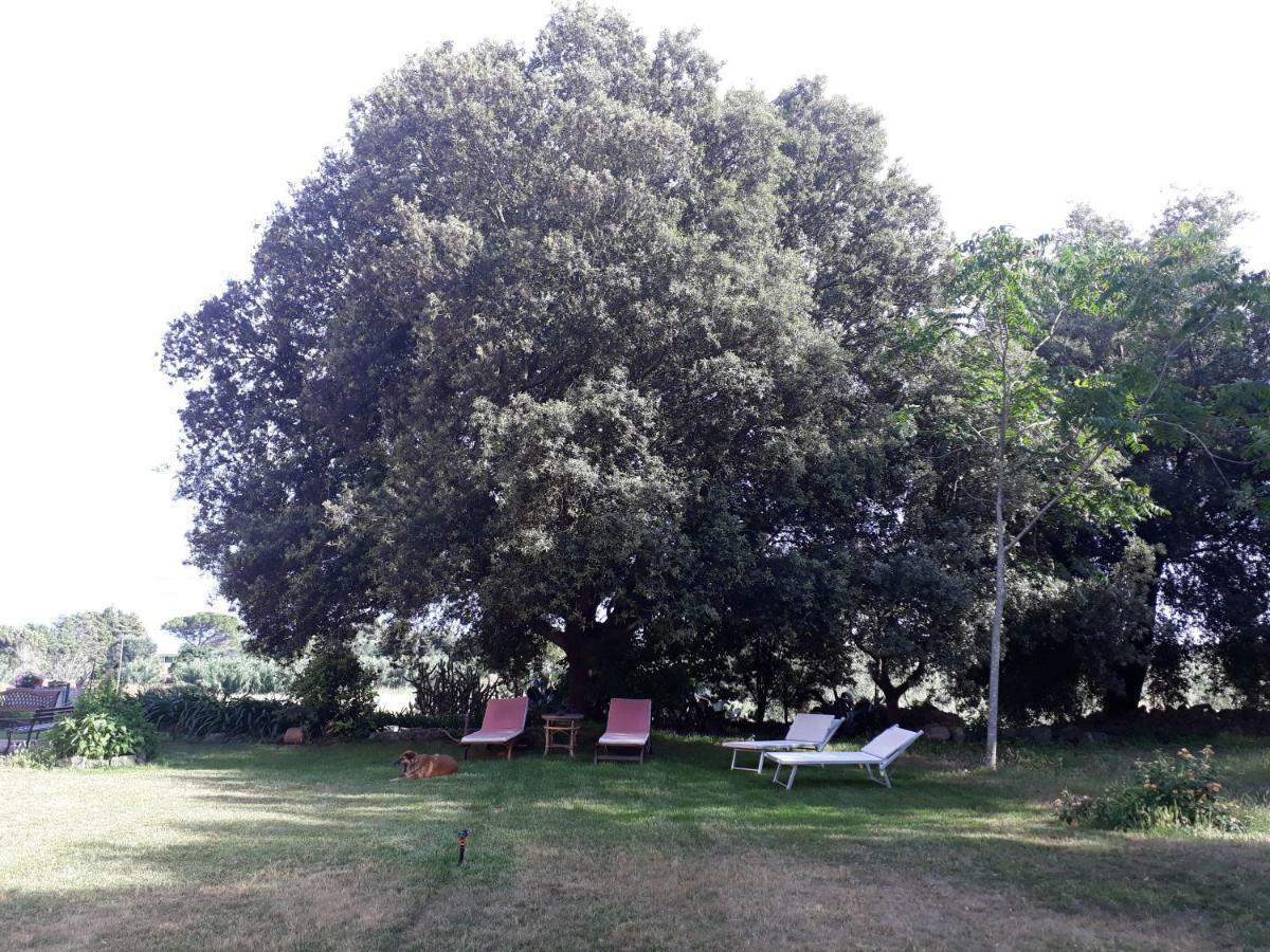 Tenuta Argiano メザーニェ エクステリア 写真